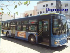 bus-sunlong.jpg